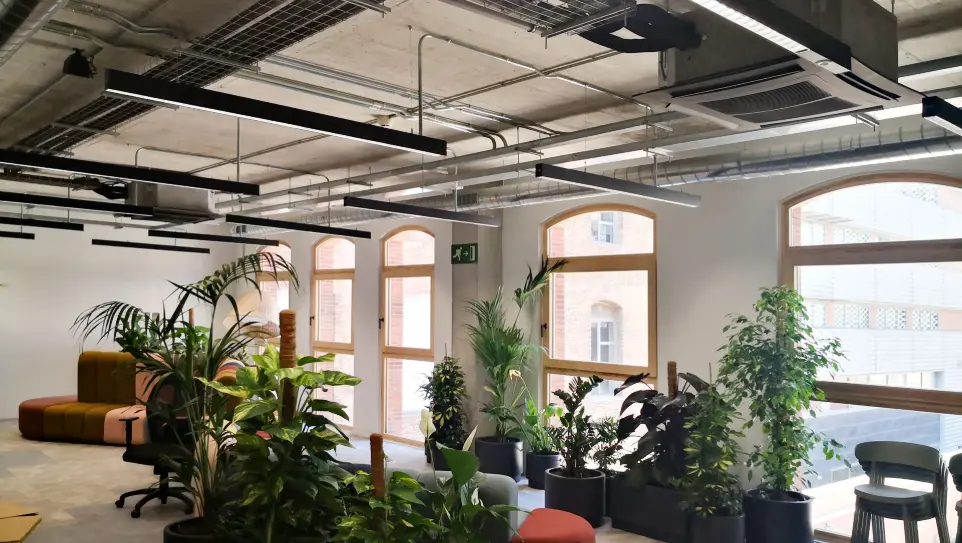 Proyecto de iluminación Luxes en oficinas KNEM: luz natural y confort visual en espacios con vegetación. Iluminación LED en zona verde interior de las oficinas KNEM, diseño lumínico natural de Luxes.