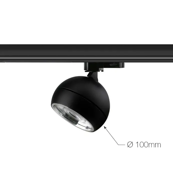 Allium Series Carril 